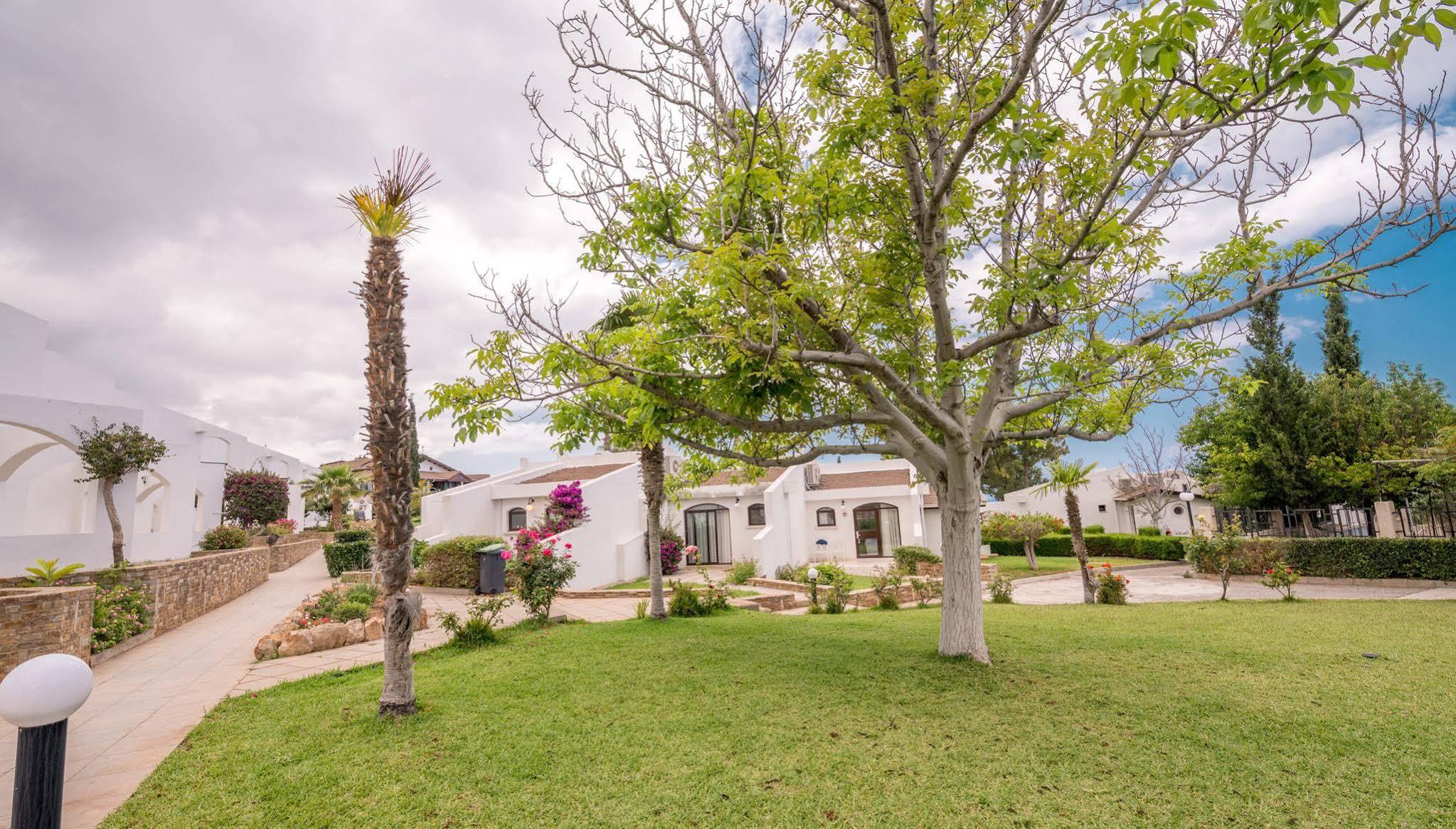 The Olive Tree Hotel Agios Epiktitos Екстериор снимка